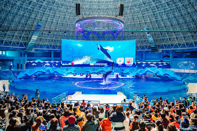 泉州最美海岸之：八仙過海歐樂堡景區