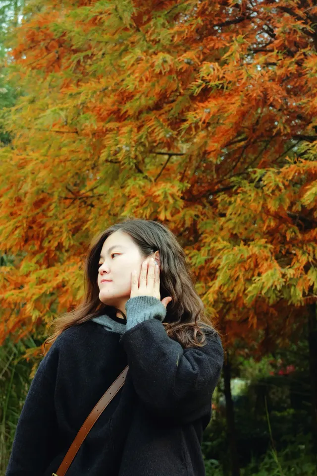 德陽東湖山水杉林紅了！陽光穿透紅杉林絕美