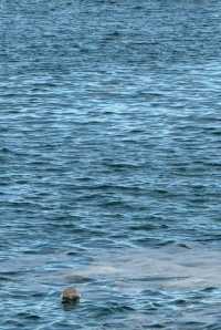 03女大煙台暴走2天｜人均500吃遍海鮮+打卡網紅地標