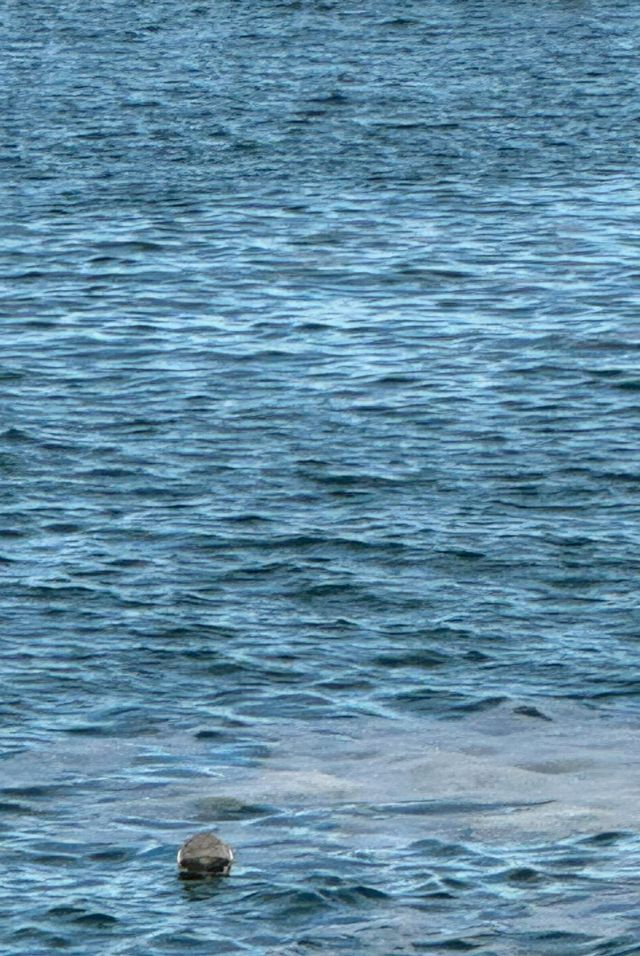 03女大煙台暴走2天｜人均500吃遍海鮮+打卡網紅地標