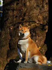 桂林山水,和我正在變得清晰的生命(二)