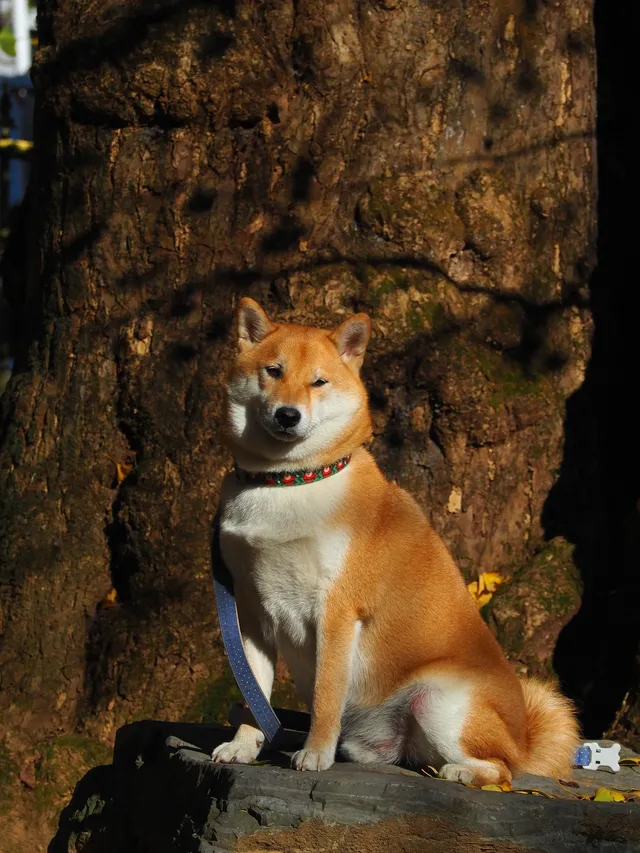 桂林山水,和我正在變得清晰的生命(二) 桂林山水,和我正在變得清晰的生命(二)