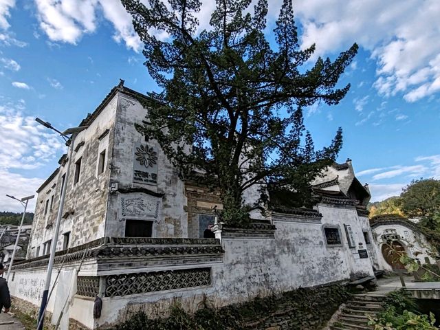 Qingyuan's Ancient Charm