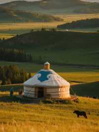 呼倫貝爾親子攻略，夏日的草原盛宴