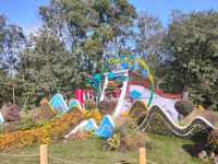 上海共青森林公園|秋日限定浪漫被我發現了