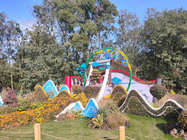 上海共青森林公園|秋日限定浪漫被我發現了 上海共青森林公園|秋日限定浪漫被我發現了