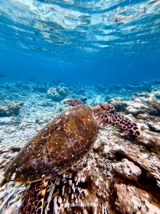 Exceptional Hotel Experience