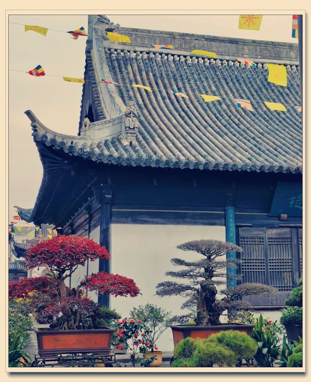 躲進700年古寺,我在真如寺尋得半日“大隱於市” 躲進700年古寺,我在真如寺尋得半日“大隱於市”