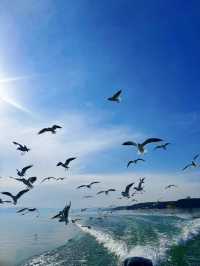 在陸渾,打撈一場盛大的日落