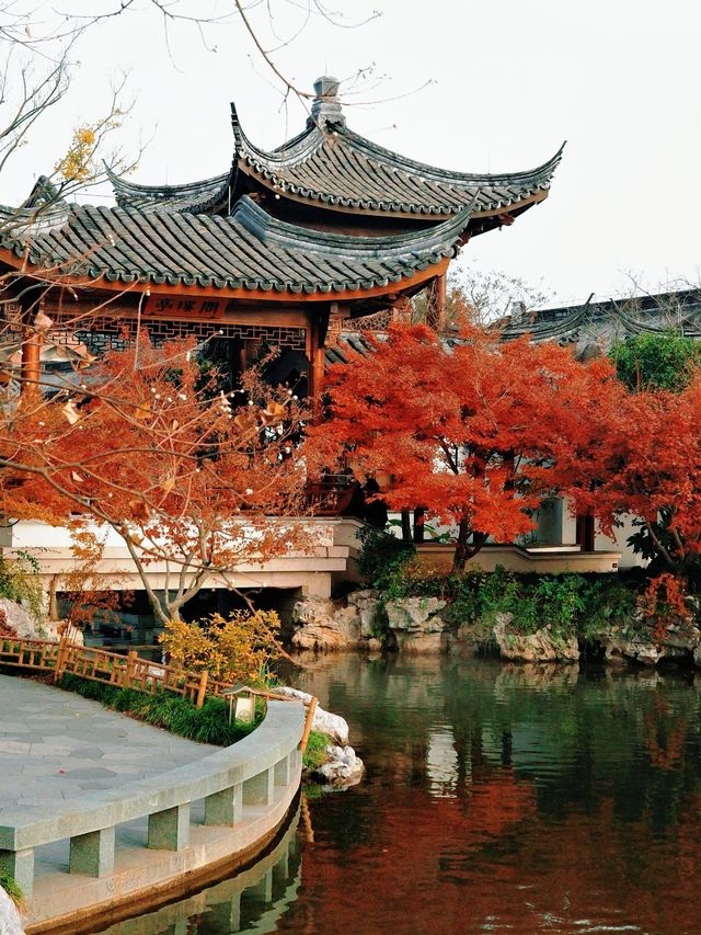 上海世博文化公園裡隱藏的寶藏園林!申園也太仙了叭~ 上海世博文化公園裡隱藏的寶藏園林!申園也太仙了叭~