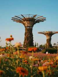 12月親子拍照！留住童年的浪漫瞬間