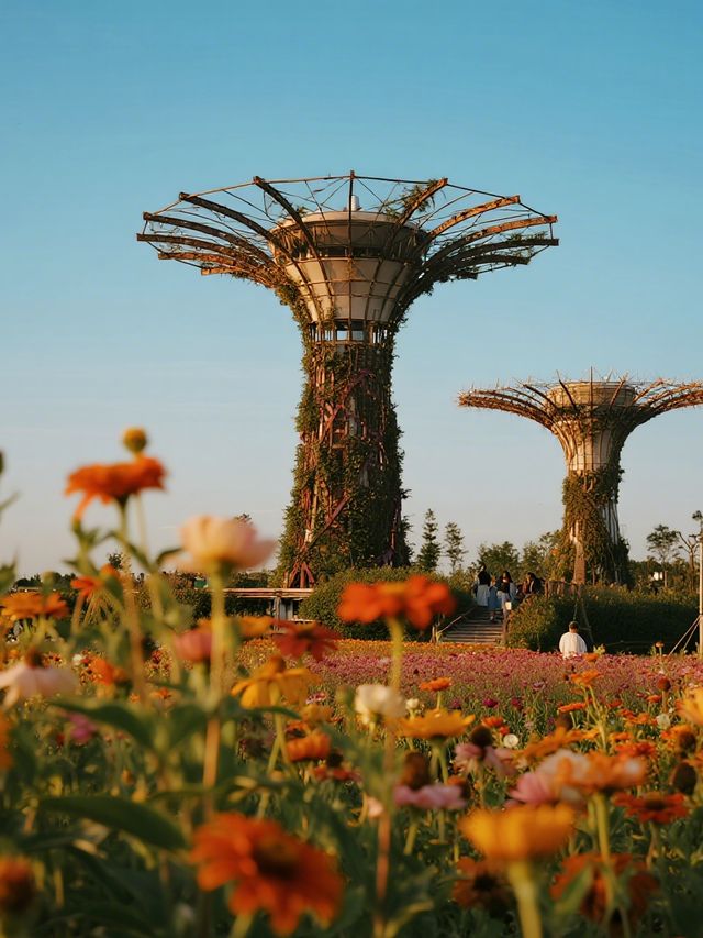 12月親子拍照！留住童年的浪漫瞬間