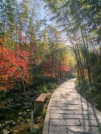 溧陽天目湖3日遊：天目湖山水