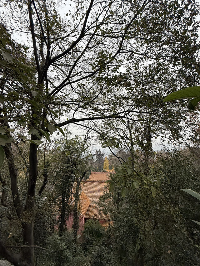 長沙 / 岳麓山景區 長沙 / 岳麓山景區