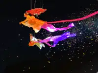 11月河頭老街遛娃不虛此行啊