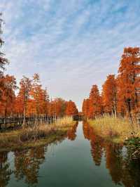 歡迎來旅遊打卡