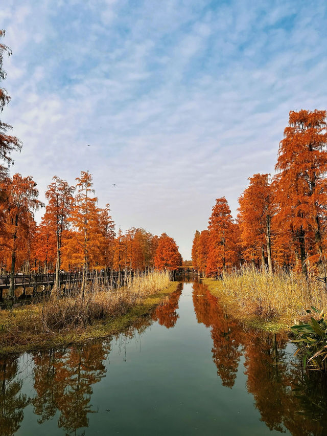 歡迎來旅遊打卡 歡迎來旅遊打卡