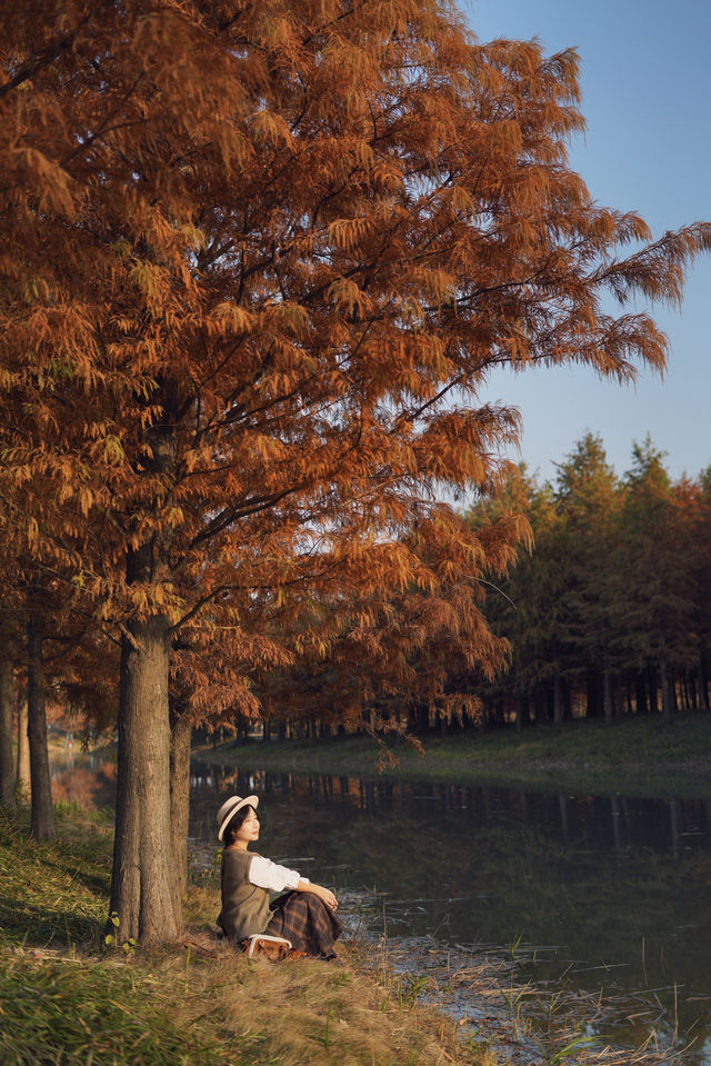 魔都的冬天有多美！紅得像火