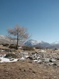 川西雪山整活，吃了牦牛肉，單穿一件是否抗凍