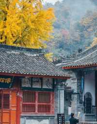 秦嶺帶娃帶父母封神線5天4晚小眾慢遊，躺玩不費媽超治癒