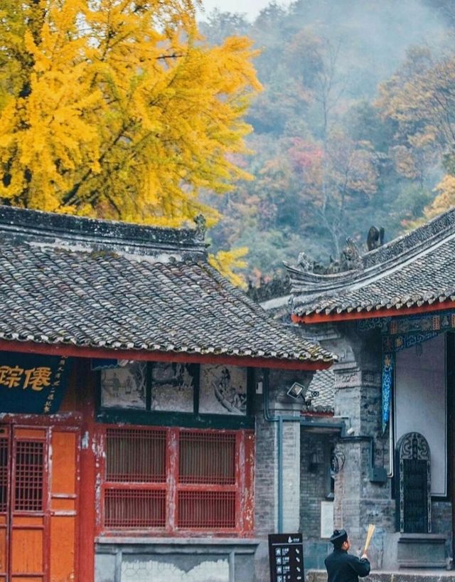 秦嶺帶娃帶父母封神線5天4晚小眾慢遊，躺玩不費媽超治癒