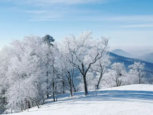 今日北大湖霧淞大賞,最強看霧淞攻略 今日北大湖霧淞大賞,最強看霧淞攻略