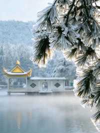 廬山兩天一夜看雪攻略|南方寶子的冰雪奇緣圓夢記