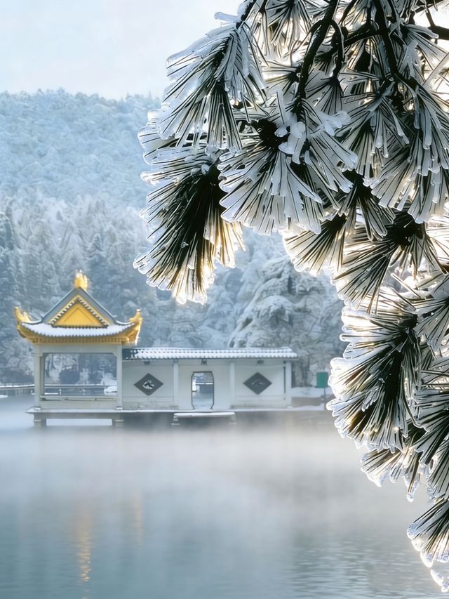 廬山兩天一夜看雪攻略|南方寶子的冰雪奇緣圓夢記 廬山兩天一夜看雪攻略|南方寶子的冰雪奇緣圓夢記