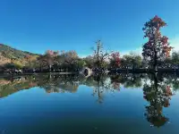宏村一日遊保姆級最全攻略,這一篇就夠