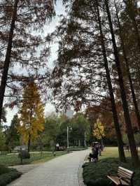 我打卡了新虹橋中心花園