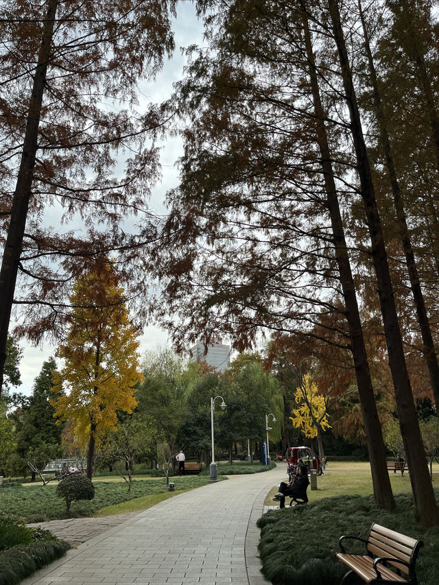 我打卡了新虹橋中心花園