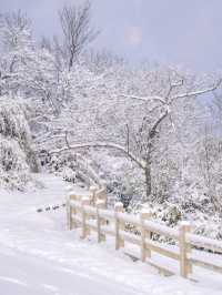 南方滑雪秘境 | 安吉雲上草原的冬天,比想像中更浪漫!