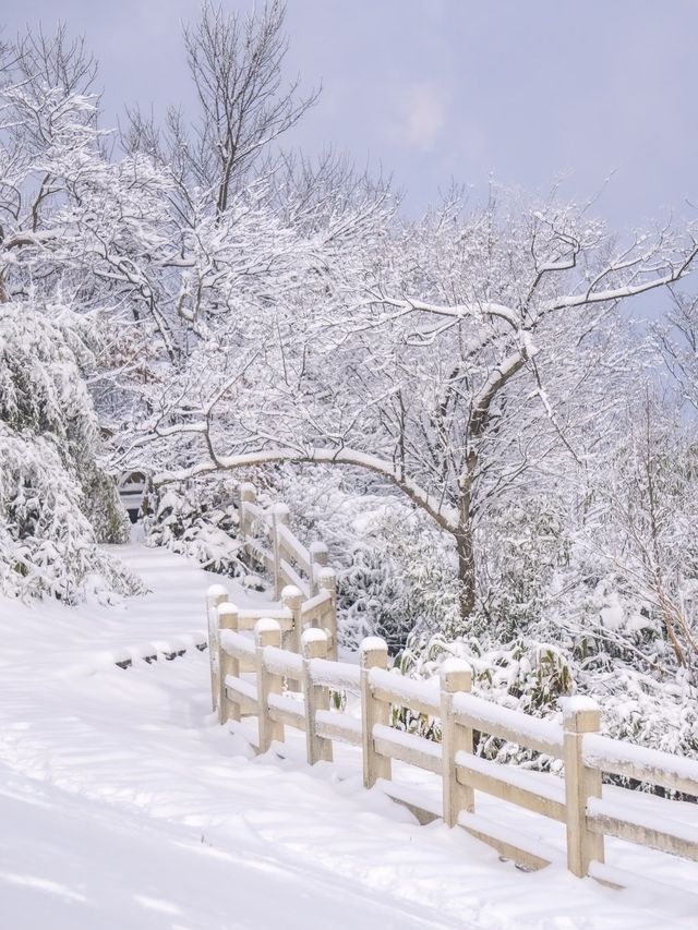 南方滑雪秘境 | 安吉雲上草原的冬天,比想像中更浪漫! 南方滑雪秘境 | 安吉雲上草原的冬天,比想像中更浪漫!