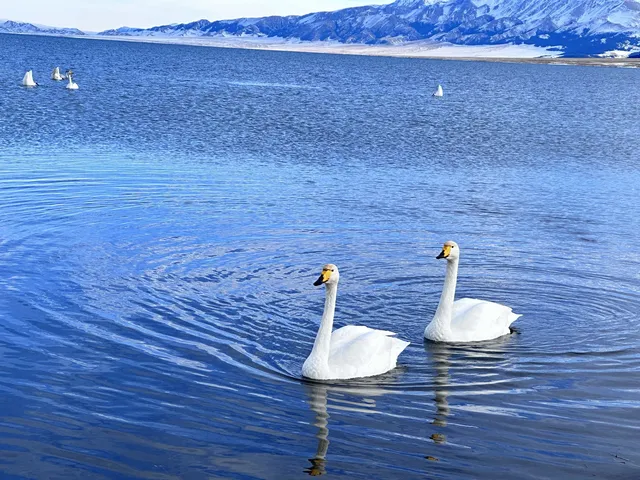 太美了吧!賽里木湖非常適合自駕!!! 太美了吧!賽里木湖非常適合自駕!!!