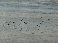 甘肅·蘭州市區週末一日遊 | 11.30