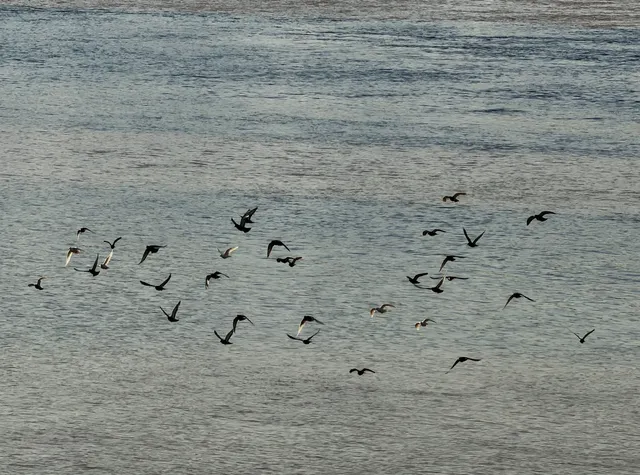 甘肅·蘭州市區週末一日遊 | 11.30 甘肅·蘭州市區週末一日遊 | 11.30
