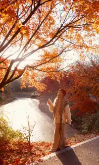 不誇張這是上海拍楓葉最美的公園了