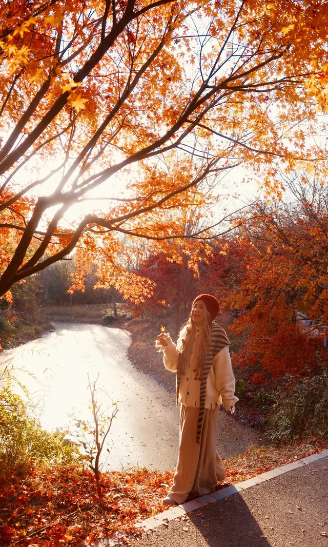 不誇張這是上海拍楓葉最美的公園了 不誇張這是上海拍楓葉最美的公園了