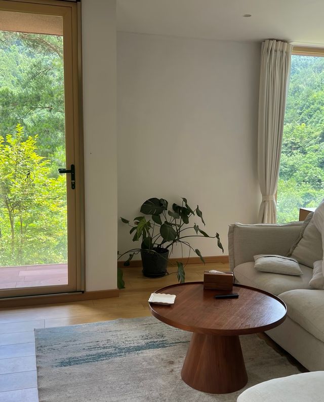 張家界民宿天花板被繡球&森林治癒的完美假期 張家界民宿天花板被繡球&森林治癒的完美假期