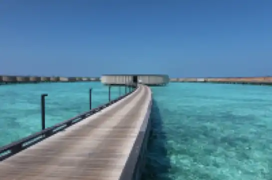 馬爾代夫 麗思卡爾頓選島成功