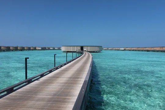 馬爾代夫 麗思卡爾頓選島成功