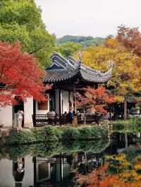 打翻調色盤,最後一次這個視角做寄暢園封面