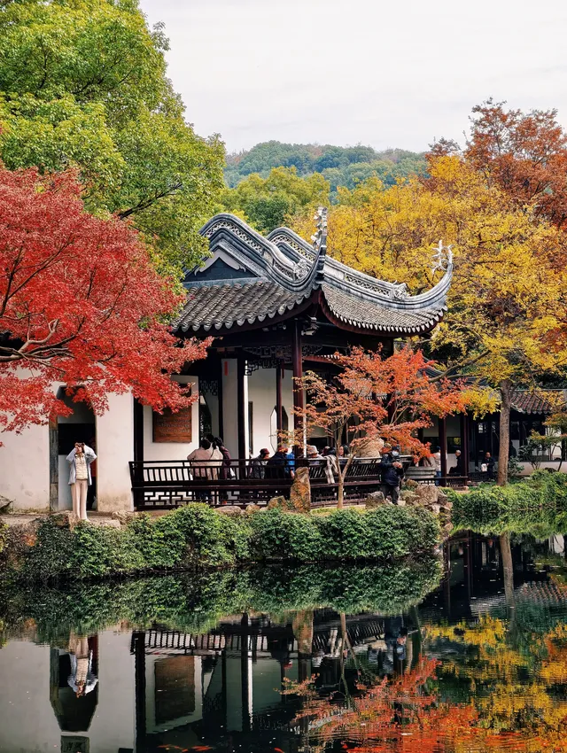 打翻調色盤,最後一次這個視角做寄暢園封面 打翻調色盤,最後一次這個視角做寄暢園封面