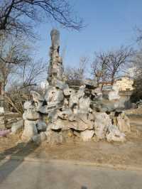 天津中山公園｜秋日限定的金色童話世界  落日銀杏+古建長廊！隨手拍都是電影感大片   天津秋日頂流