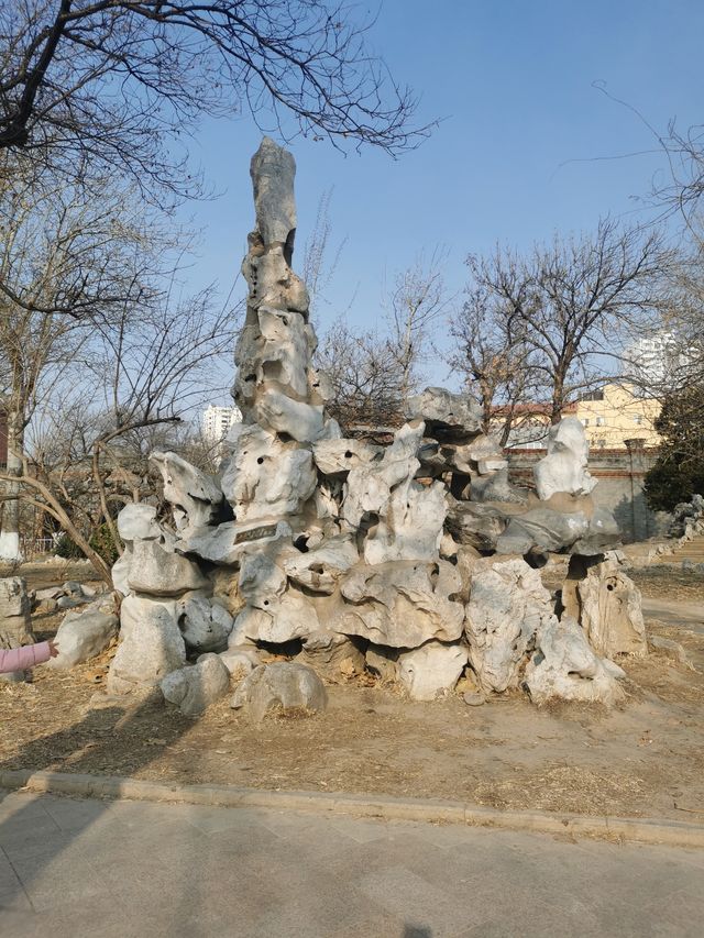 天津中山公園｜秋日限定的金色童話世界  落日銀杏+古建長廊！隨手拍都是電影感大片   天津秋日頂流