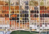 漳州東山島西港鹽田