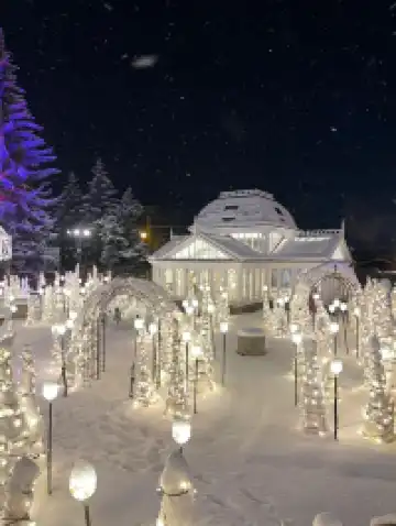 冬日札幌必打卡！白色戀人公園點燈全攻略