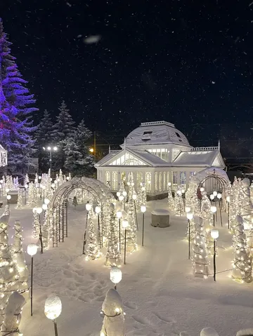 冬日札幌必打卡！白色戀人公園點燈全攻略