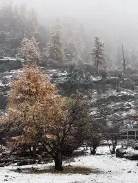 命運的扣環—願我們永遠自由