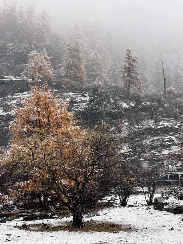 命運的扣環—願我們永遠自由 命運的扣環—願我們永遠自由